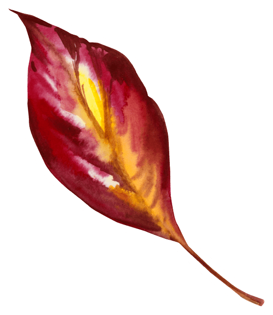 Crimson & Gold Watercolor Fall Leaf Sticker