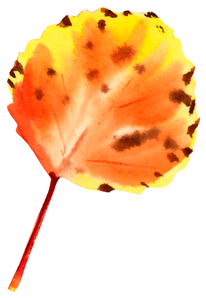 Speckled Orange & Yellow Fall Leaf Sticker