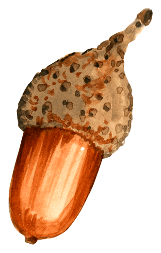 Speckled Cap Watercolor Acorn Sticker