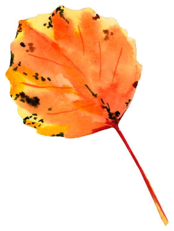 Watercolor Autumn Leaf Sticker