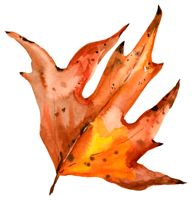 Watercolor Autumn Oak Leaf Sticker