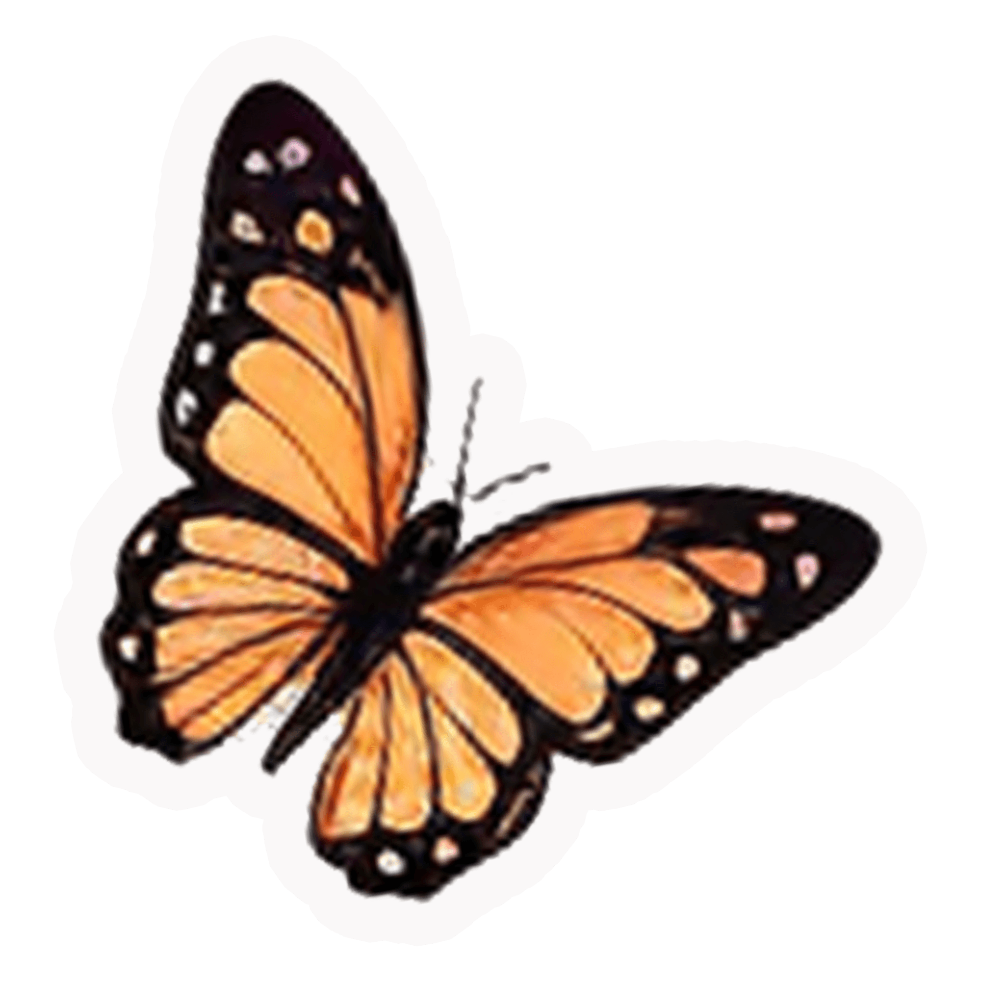 Monarch Butterfly Die-Cut Vinyl Sticker