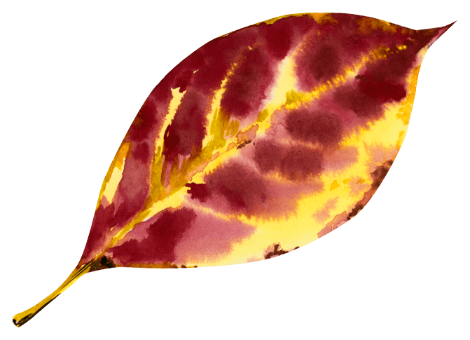 Crimson & Gold Watercolor Leaf Sticker