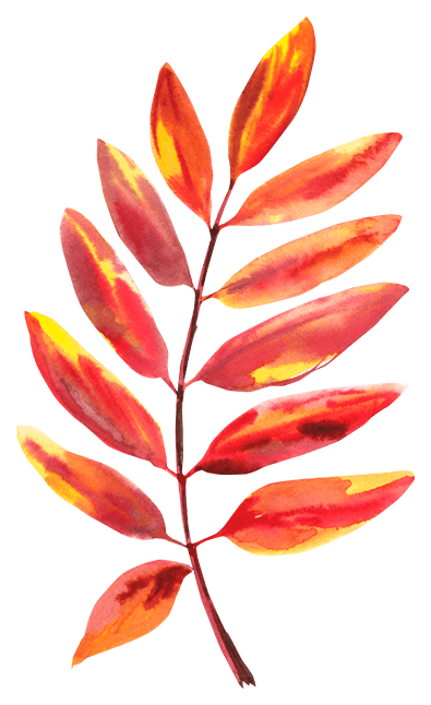 Fiery Sumac Branch Watercolor Sticker