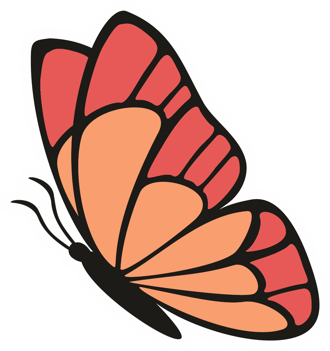Coral Sunset Butterfly Sticker