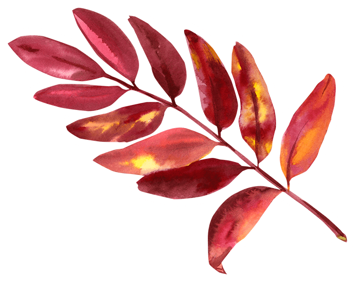 Watercolor Autumn Leaf Branch Sticker